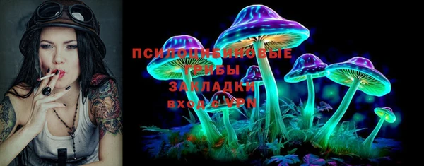 соль ск Богданович